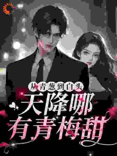 从青葱到白头：天降哪有青梅甜周苒厉司宴小说大结局在线阅读